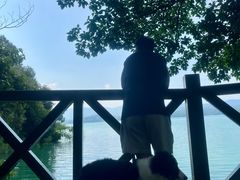 -广州市流溪河国家森林公园