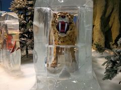 -广州热雪奇迹