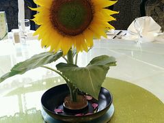 -龙宴海鲜城(经中路店)