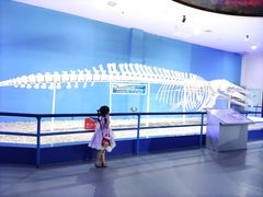 -福州罗源湾海洋世界旅游区