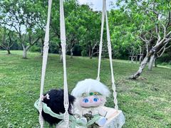 -上海共青森林公园