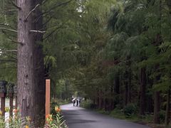 -青山湖景区