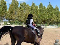 -北京群众马术培训基地