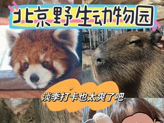 -北京野生动物园