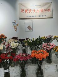 -SKINLALA美肤疗愈SPA