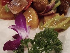 -香港新曜记茶餐厅(星耀城店)