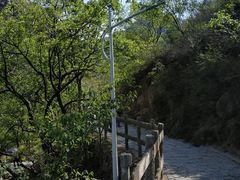 -大岭沟猕猴桃谷风景区
