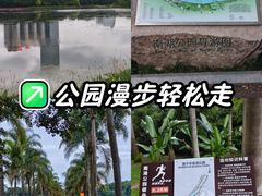 -南宁南湖公园