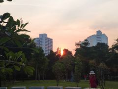 -文华公园(禅城区)