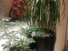 -杭州平安悦坊 PAFC LIVING