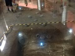 -太阳部落