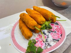 -丁老爷子苏香圆