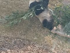 -无锡动物园·太湖欢乐园