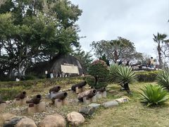 -胡里山炮台