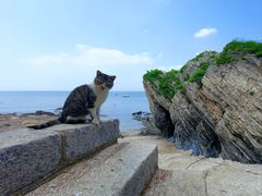-大连金石滩滨海国家地质公园