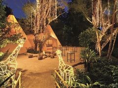 -夜间野生动物园