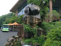 -东海大峡谷