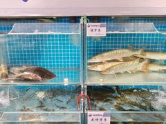 -胖姐渔村(中源大道店)
