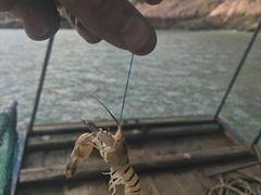 -大京沙滩