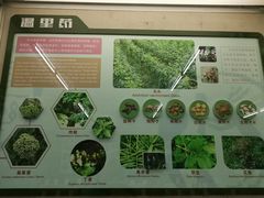 -北京中医药大学-中医药博物馆
