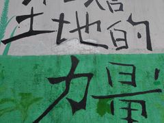 -黄桷坪涂鸦艺术街