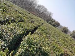 -南京市江宁方山