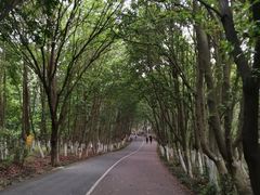 -艾溪湖湿地公园