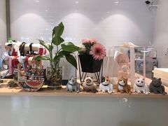 -Pets First伊珊娜洗护·精致美容·家庭式寄养(新会路店)