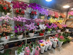 -双季花艺园艺市场(浦东店)