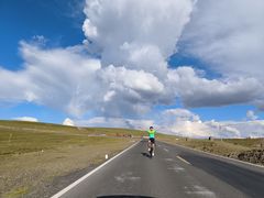 -GIANT捷安特自行车专卖店(金桥台儿庄路店)