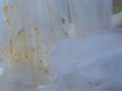 -潘氏凉皮(迎宾南路店)