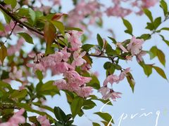 -贡湖湾湿地公园