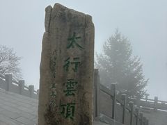 -王莽岭风景区