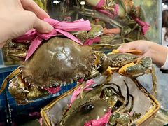 -辣螃铠盆盆蟹大排档(总店)