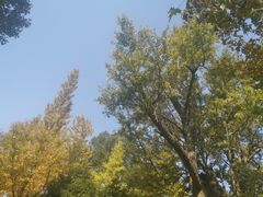 -西湖风景区十里琅珰-五云山