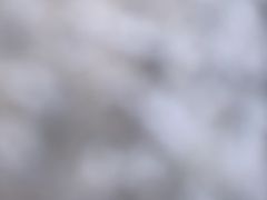 -Lotso Lunch Box 草莓熊餐盒