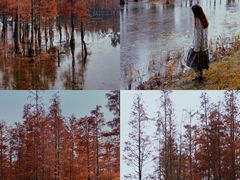 -白鹭湾湿地公园