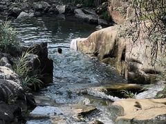 -千泷沟大瀑布旅游区