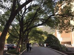 -浙江大学(玉泉校区)