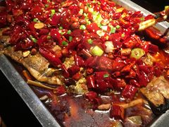 -锦尚阁烤鱼(望京新荟城店)