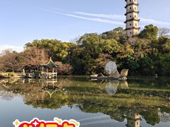 -江心屿景区