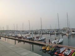 -东港音乐喷泉广场