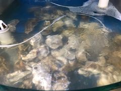 -晓伟海鲜家常菜