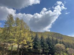 -塞罕坝国家级自然保护区