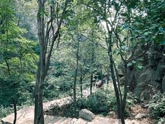-大岭沟猕猴桃谷风景区