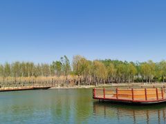 -东郊湿地公园