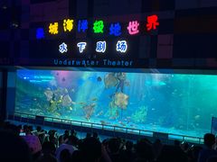 -泉城欧乐堡海洋极地世界