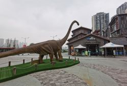 点击看大图 -恐龙探索乐园(磁器口店)