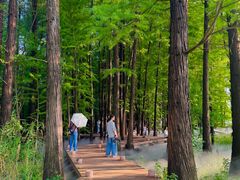 -东湖落雁景区