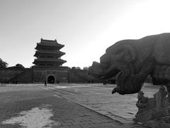 -北陵公园